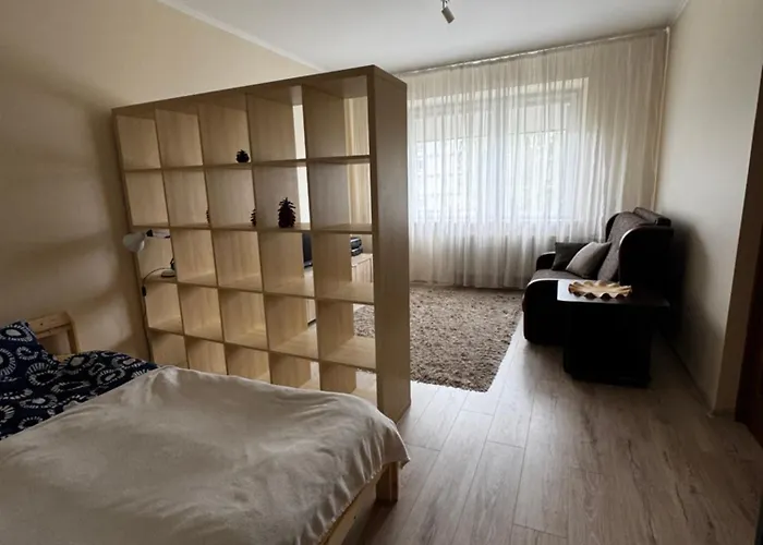 Ruses. One Bedroom Apartment Riga